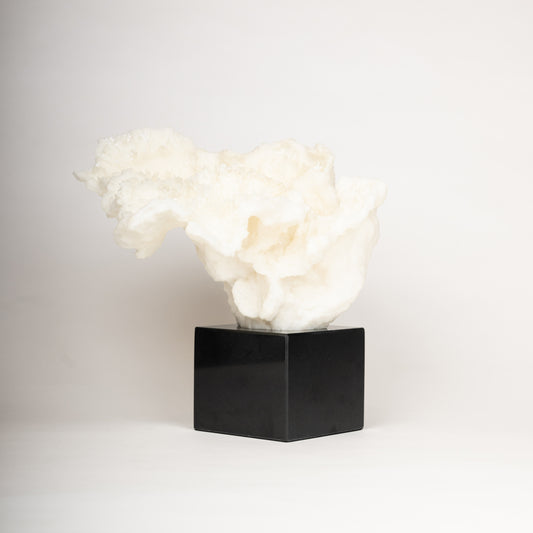 Cloud Formation Sculpture