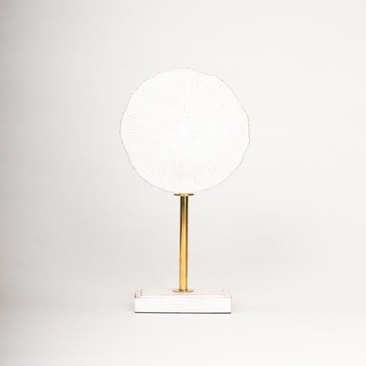 Elegant Coral-Inspired Sculptural Décor