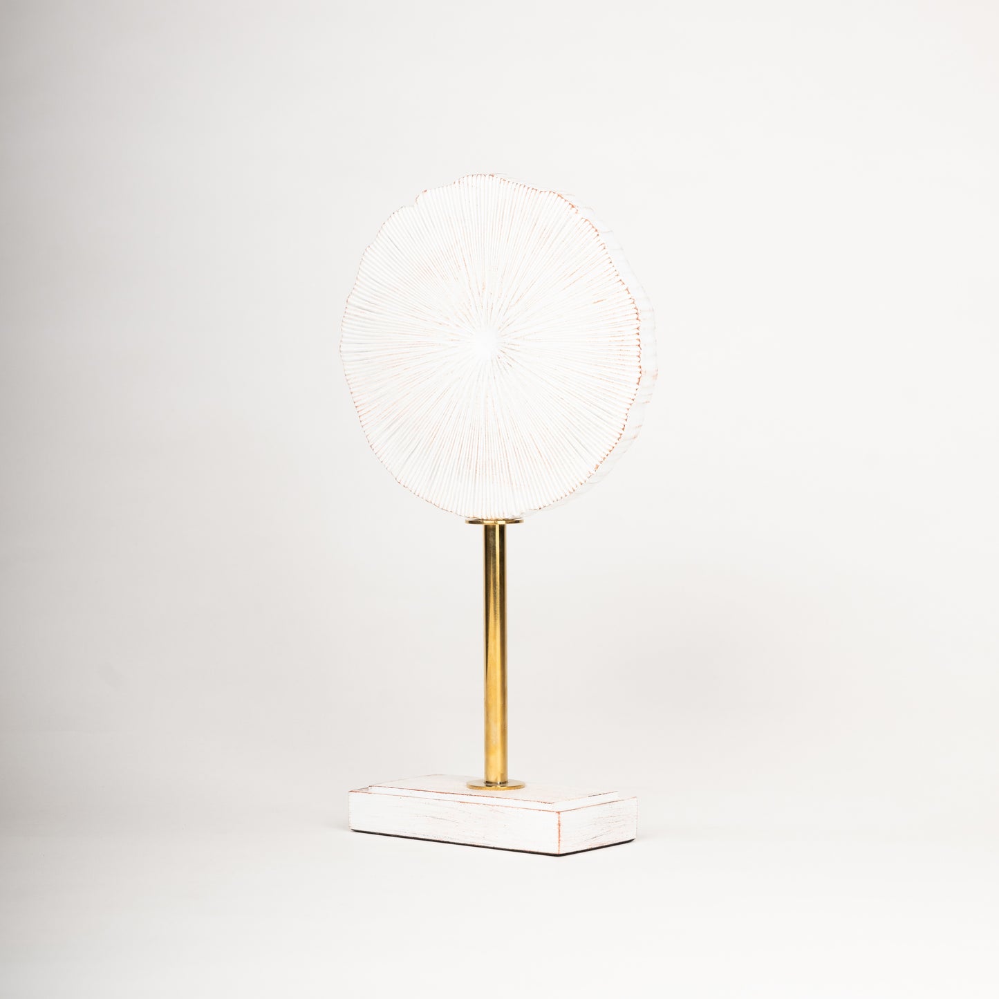 Elegant Coral-Inspired Sculptural Décor